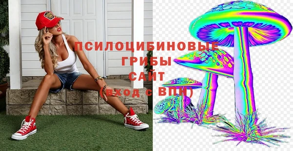 твердый Горняк